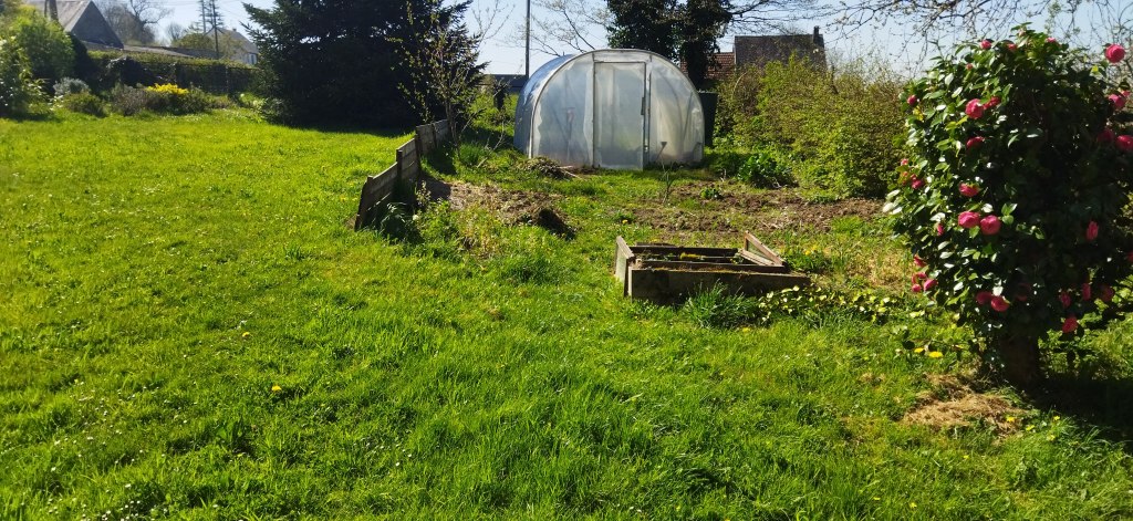 Un jardin &laquo;&nbsp;punk&nbsp;&raquo;?!